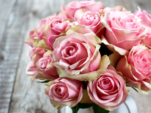 �1756607 �������(a): ����������:5000x3744